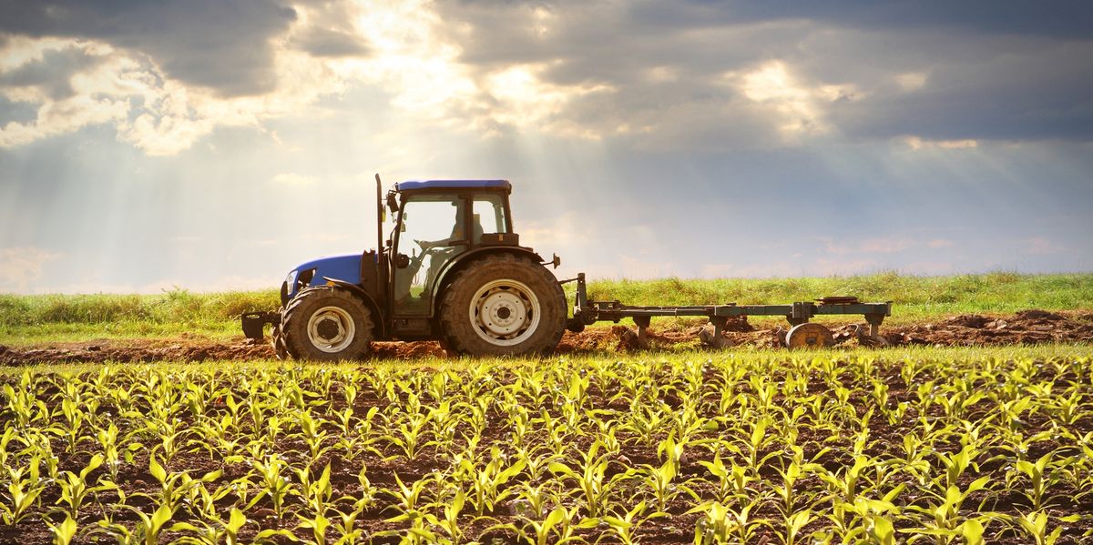 Ontario Increasing Support under AgriStability